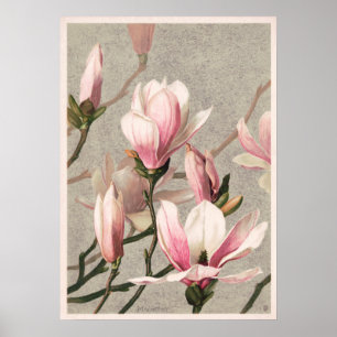 Poster Illustration vintage