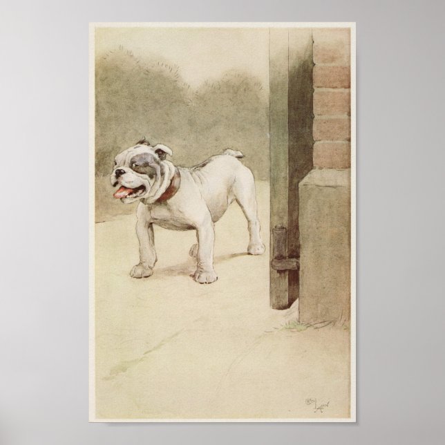 Poster Illustration vintage de Bulldog (Devant)
