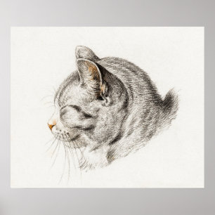 Poster Illustration vintage de chat