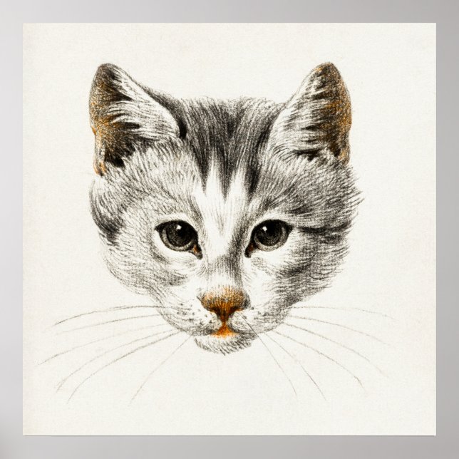 Poster Illustration vintage de chat (Devant)