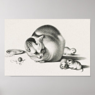 Poster Illustration vintage de chat