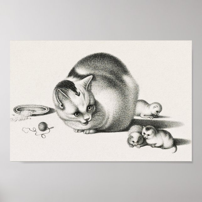 Poster Illustration vintage de chat (Devant)