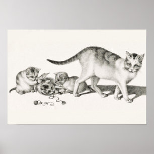 Poster Illustration vintage de chat