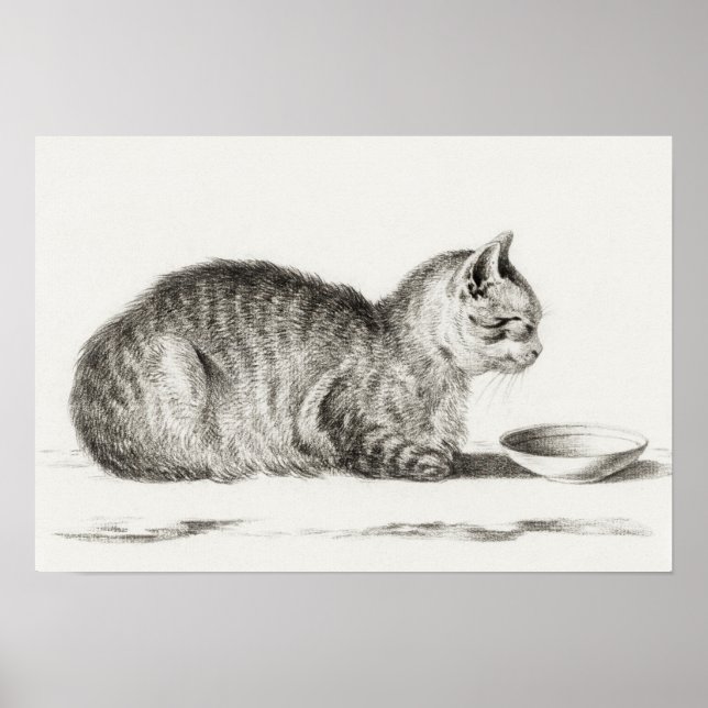 Poster Illustration vintage de chat (Devant)