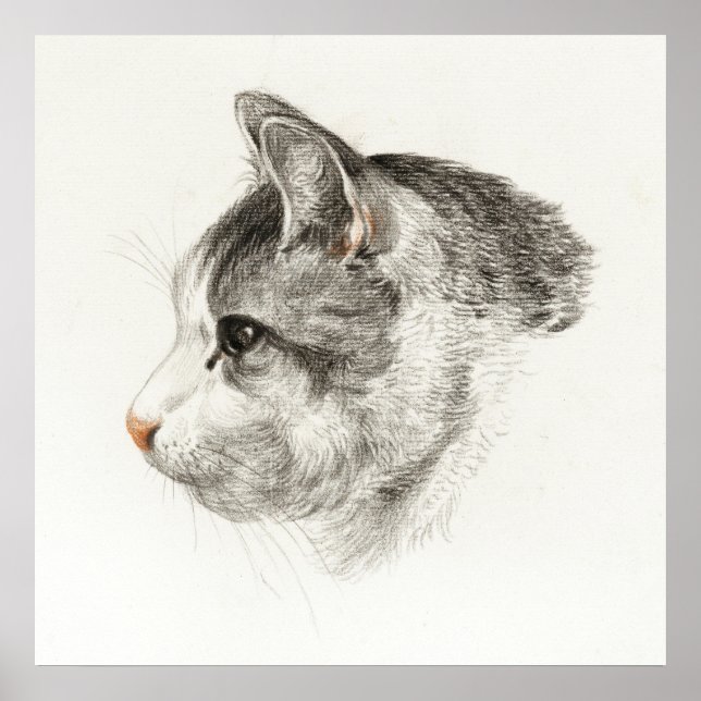 Poster Illustration vintage de chat (Devant)