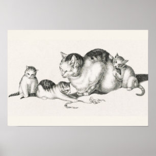 Poster Illustration vintage de chat