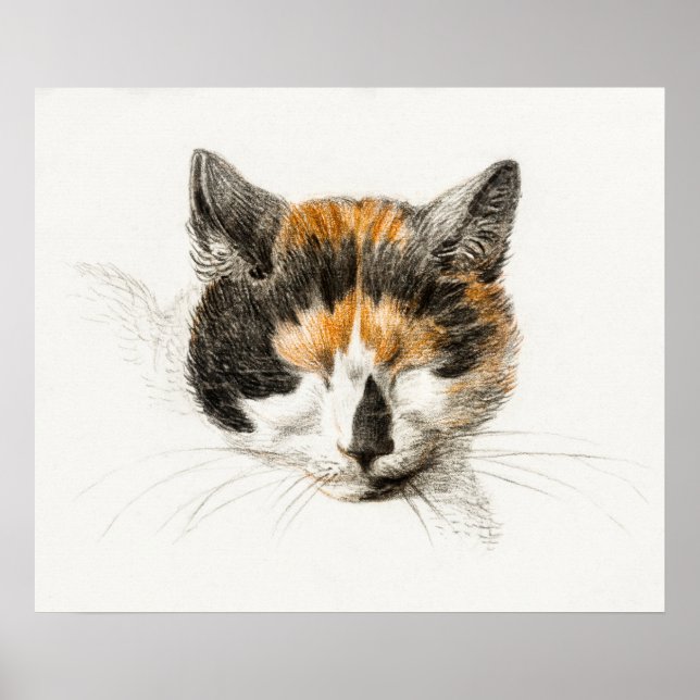 Poster Illustration vintage de chat (Devant)
