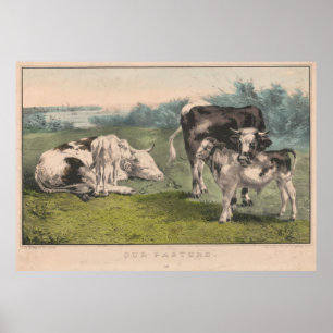 Poster Illustration vintage de ferme de bétail (1856)