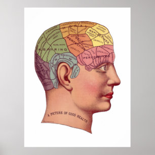 Poster Illustration vintage de fonction de cerveau