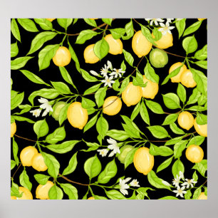 Poster Illustration Vintage de la branche de citron