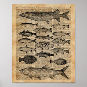 Poster Illustration vintage de la page des poissons sur l