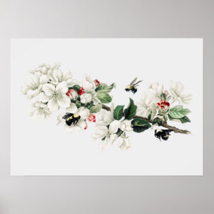 Poster Illustration vintage de l'abeille