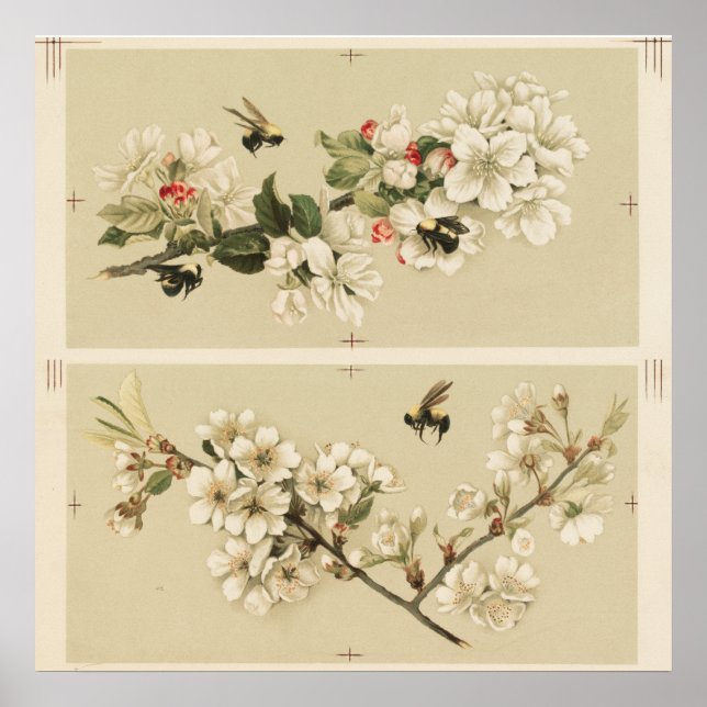 Poster Illustration vintage de l'abeille (Devant)