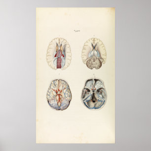Poster Illustration vintage de l'esprit humain