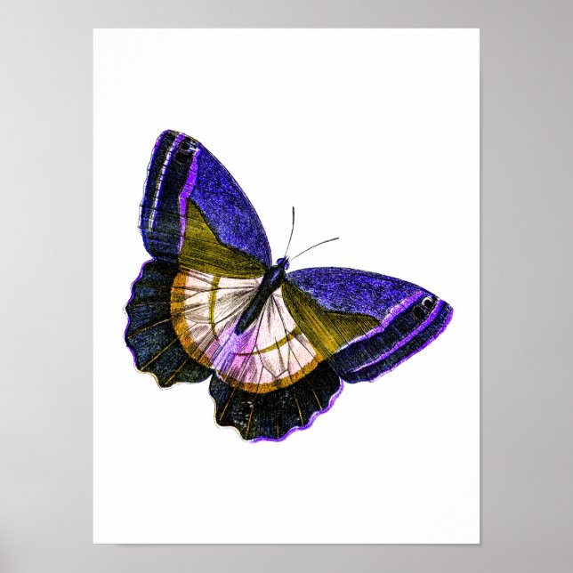 Poster Illustration vintage de papillon violet et or (Devant)