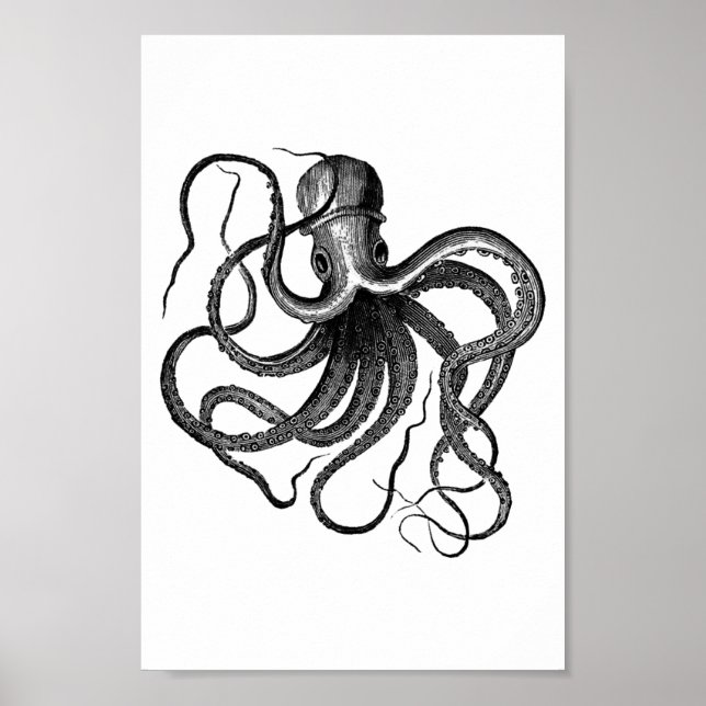 Poster Illustration vintage de pieuvre (Devant)