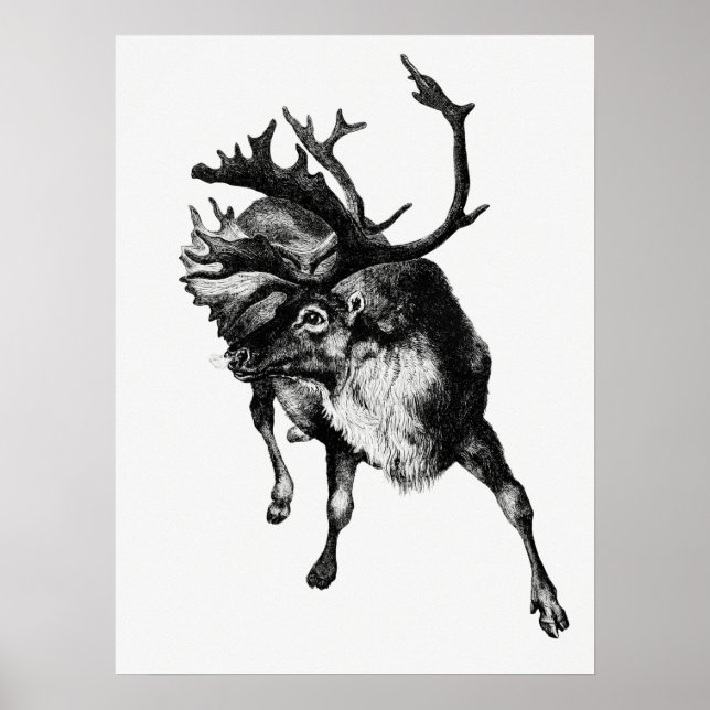 Poster Illustration vintage Deer (Devant)