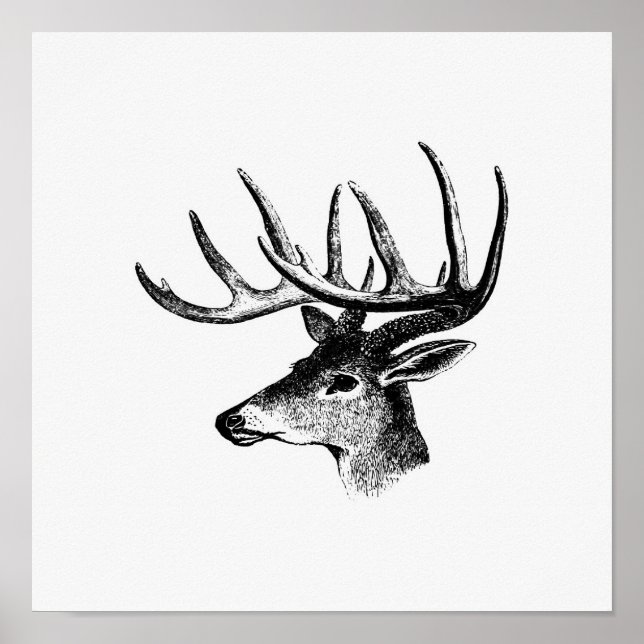 Poster Illustration vintage Deer (Devant)