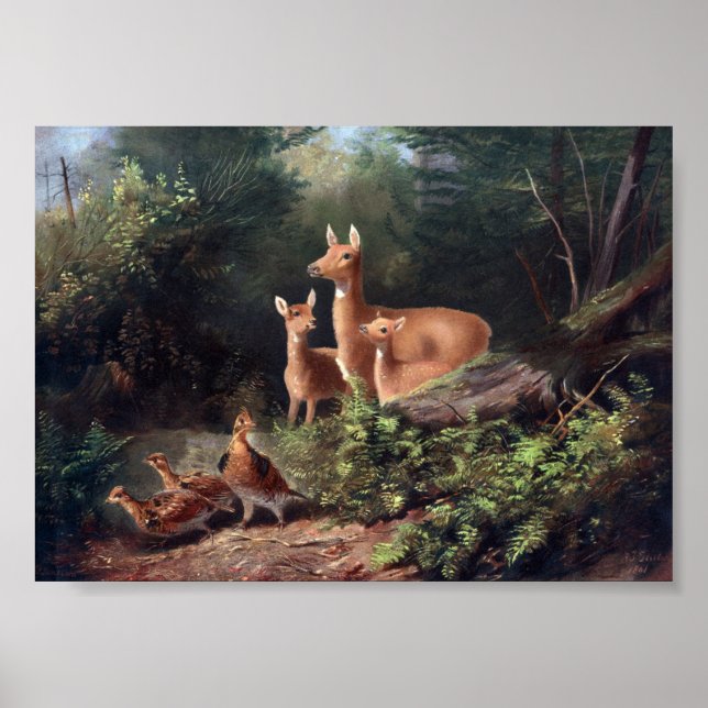Poster Illustration vintage Deer (Devant)
