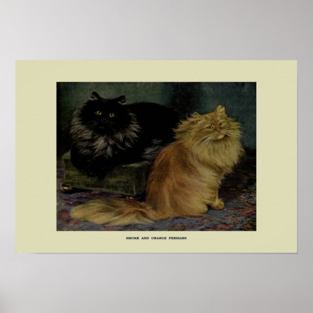 Poster Illustration vintage des chats (Devant)