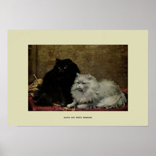 Poster Illustration vintage des chats