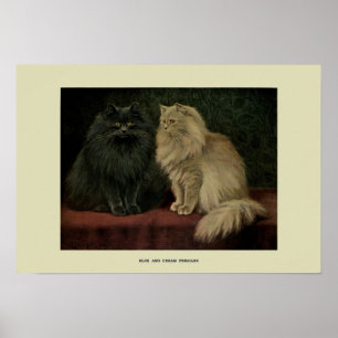 Poster Illustration vintage des chats