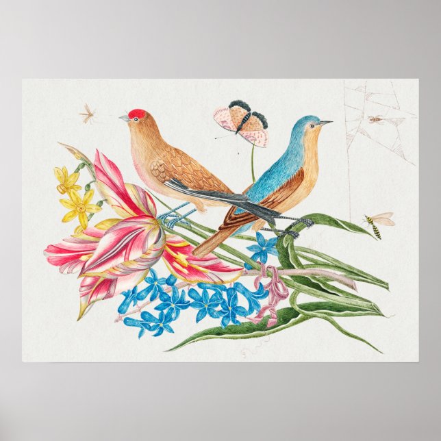 Poster Illustration vintage d'oiseaux (Devant)