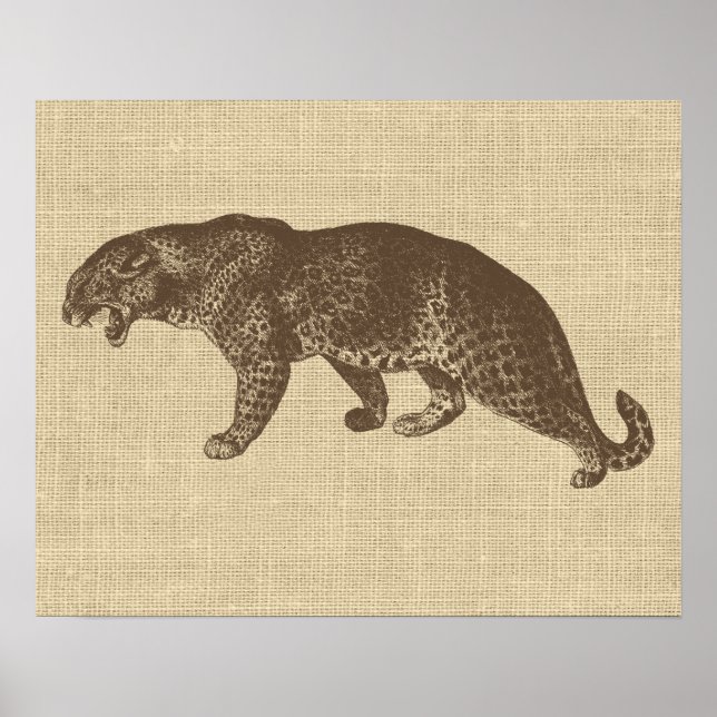 Poster Illustration vintage du léopard (Devant)