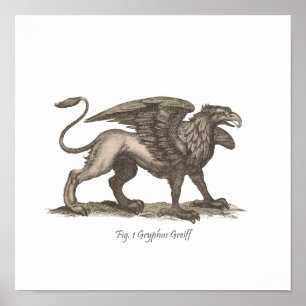 Poster illustration vintage griffin (gryphus greiff).