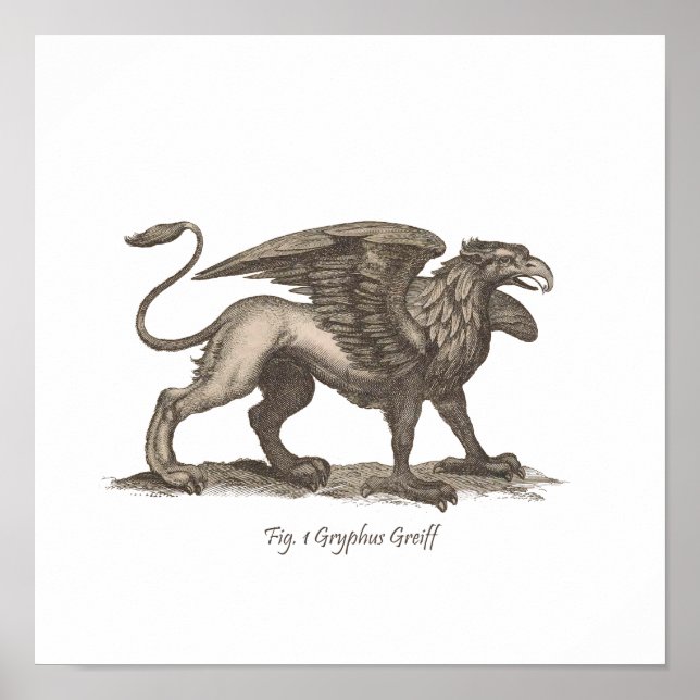 Poster illustration vintage griffin (gryphus greiff). (Devant)