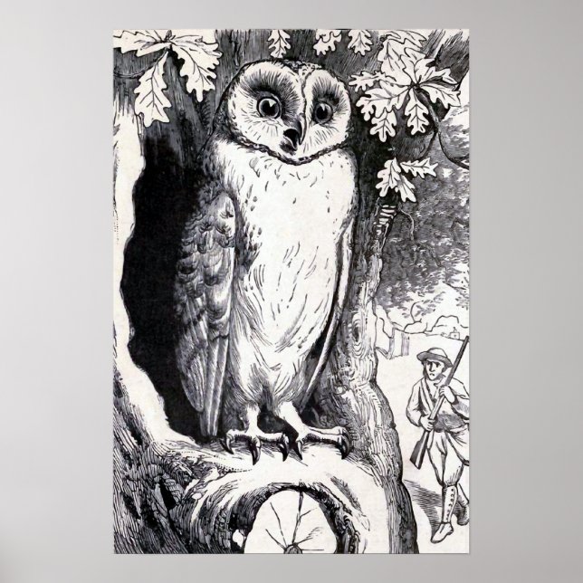 Poster Illustration Vintage "Hibou" (Devant)