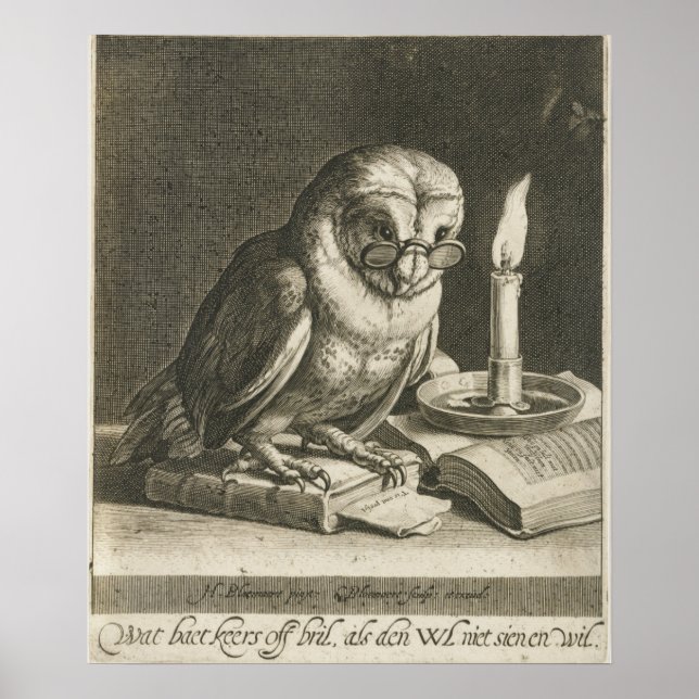 Poster Illustration vintage Owl (Devant)