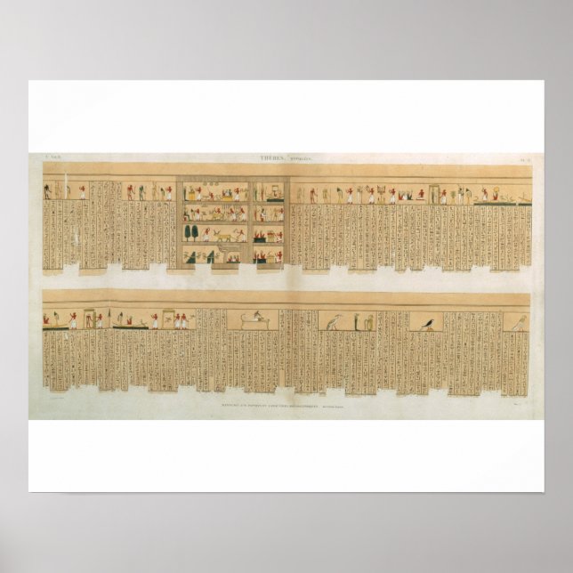 Poster Illustrations d'un manuscrit de Pampus avec hiérol (Devant)