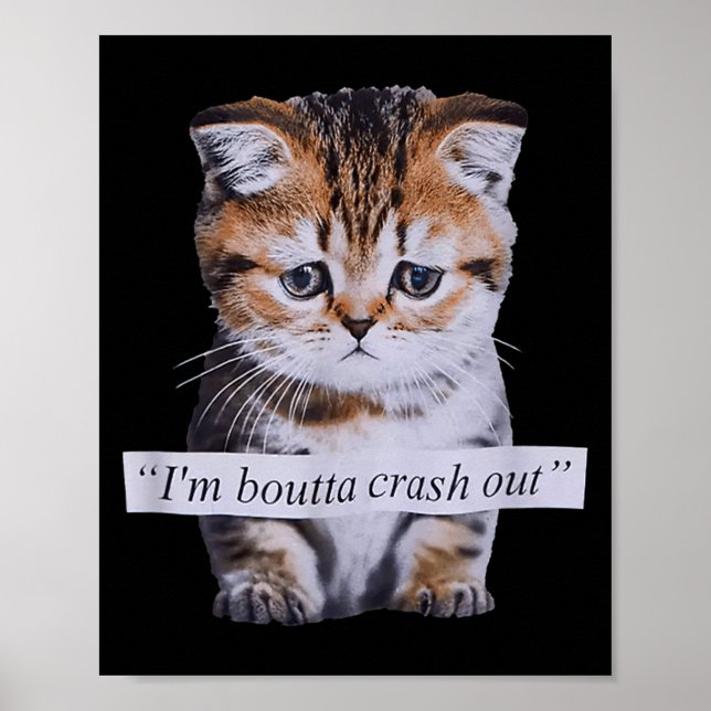 Poster I'm Boutta Crash Out Cat Funny Meme Cat Pet Lover  (Devant)