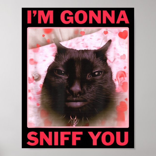 Poster I'm Gonna Sniff You Funny Raunchy Brainrot Meme Ge (Devant)