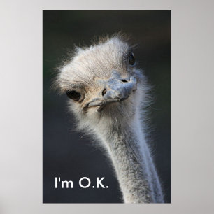 Poster Im OK