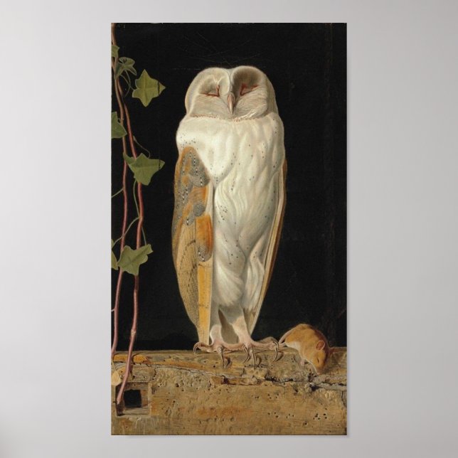 Poster Image Chouette vintage (Devant)