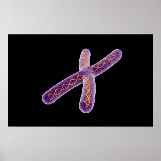 Poster Image Conceptuelle De Chromosome 2 (Devant)