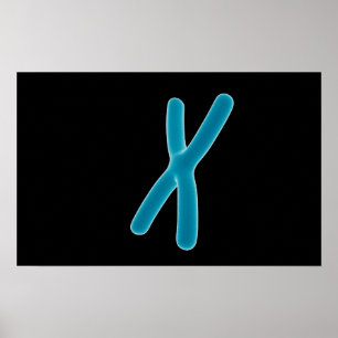 Poster Image Conceptuelle De Chromosome 3