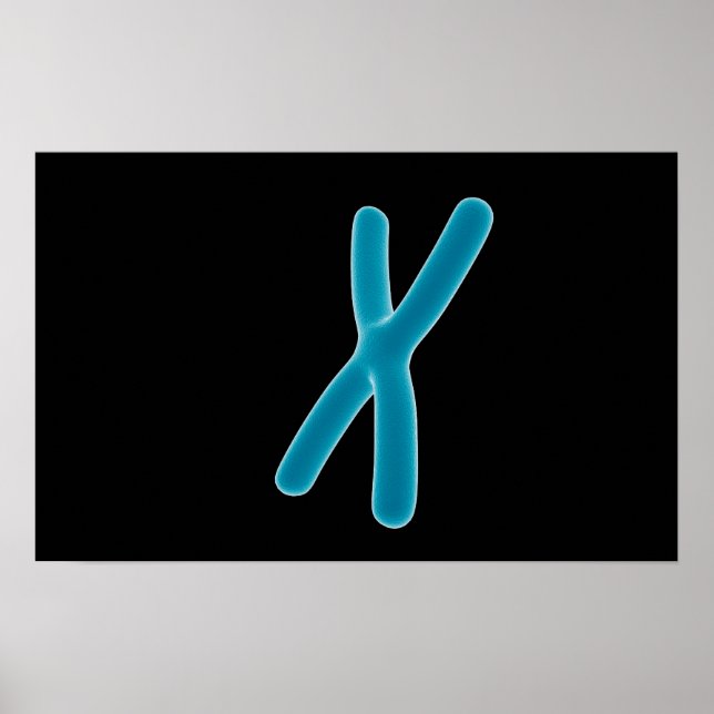 Poster Image Conceptuelle De Chromosome 3 (Devant)