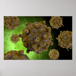 Poster Image conceptuelle de Coxsackievirus 2