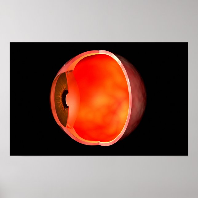 Poster Image Conceptuelle De La Croix Des Yeux Humains Se (Devant)
