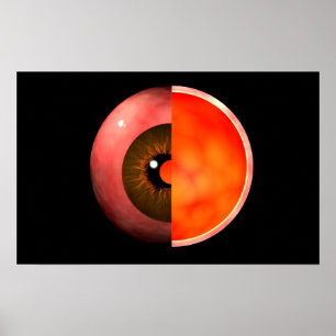 Poster Image Conceptuelle De La Croix Des Yeux Humains Se
