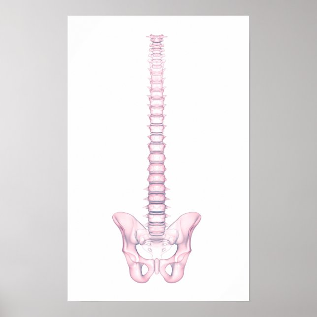 Poster Image Conceptuelle De La Fondatrice Humaine 2 (Devant)