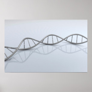 Poster Image Conceptuelle De L'ADN 1