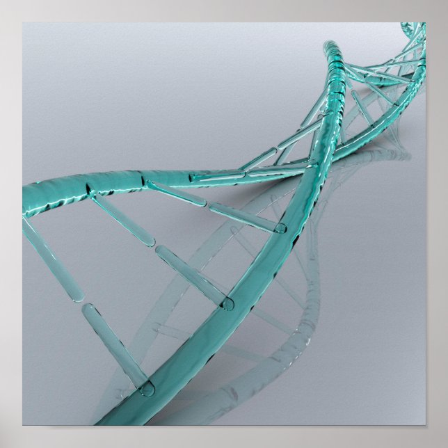 Poster Image Conceptuelle De L'ADN 3 (Devant)