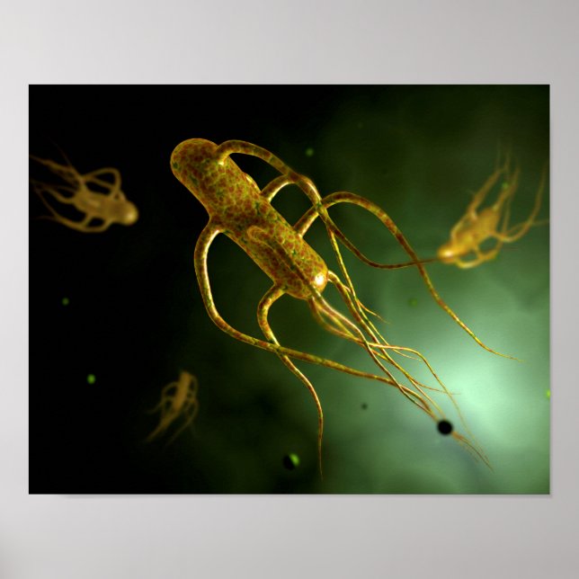 Poster Image Conceptuelle De Salmonella Typhi 2 (Devant)