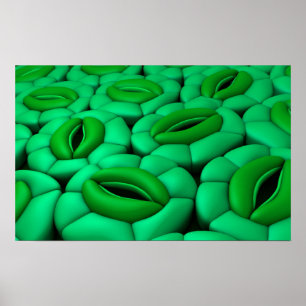 Poster Image Conceptuelle De Stomata 1