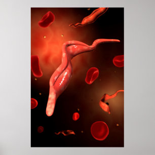 Poster Image Conceptuelle De Trypanosoma 1