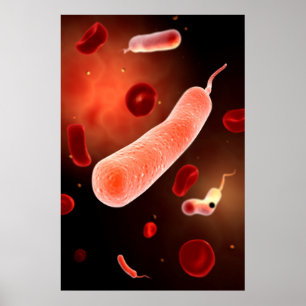 Poster Image Conceptuelle De Vibrio Cholerae 2